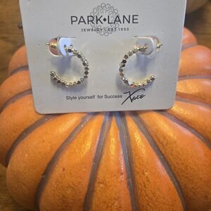 Park Lane Gold and Silver Earrings